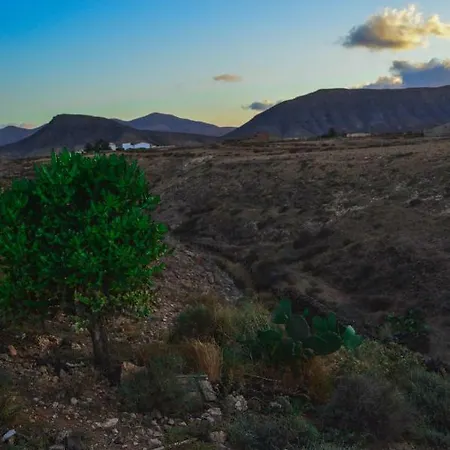 Casa Blas プエルト・デル・ロサリオ