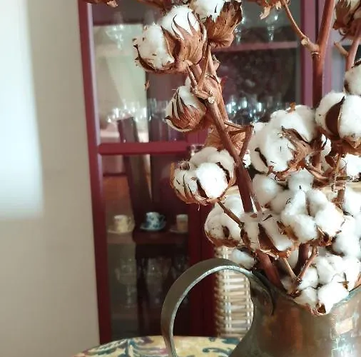 Сasa de vacaciones Casa Blas