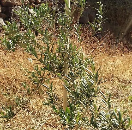 Casa Blas Hébergement de vacances